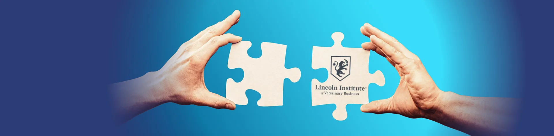 LI4873 - Partners Page Banner_2-NoText